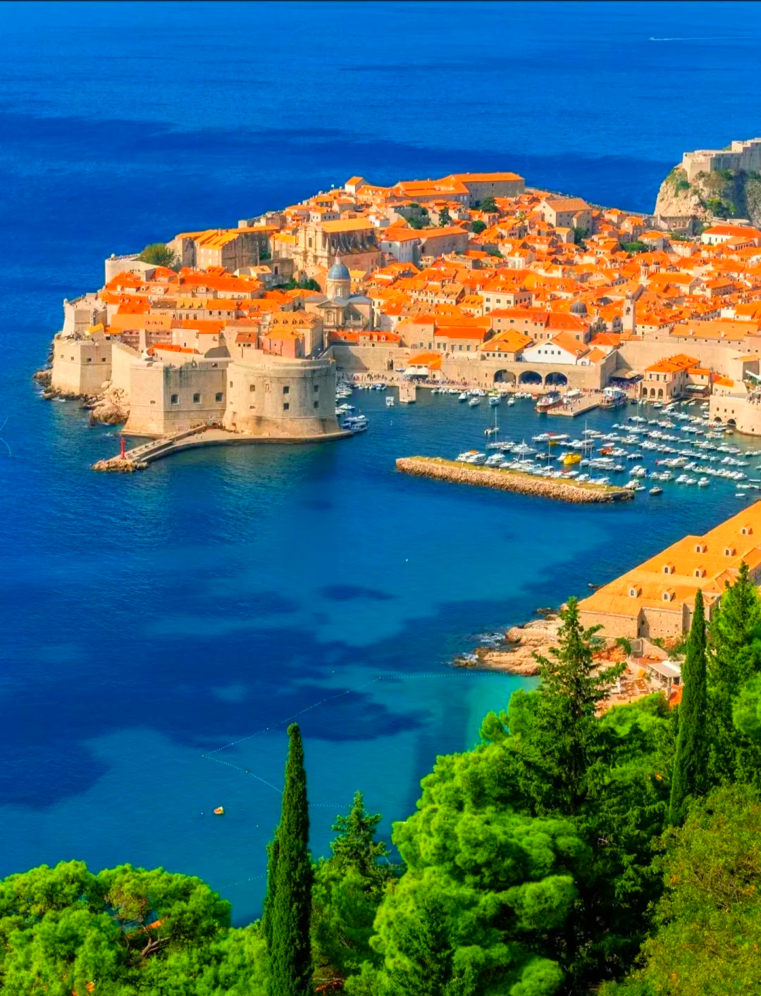 开云体育APP下载-斯洛文尼亚力克克罗地亚，小组出线前景一片光明的简单介绍