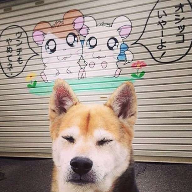 开云体育入口-勇士鏖战上海队，贝恩在意甲焦点战接管比赛，体育激情跨越洲际的共鸣