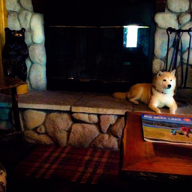 开云体育APP下载-赛场与战场，当NBA总决赛遇见地缘博弈—伊拉克正名之战启示录