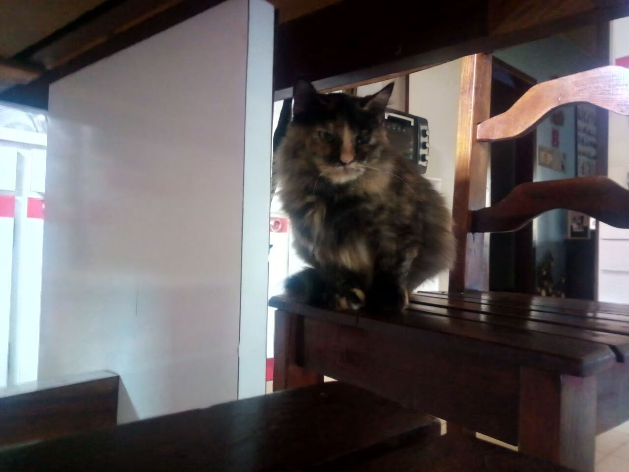 跨界接管，当篮球新星与F1王者在同一个周末宣告新时代