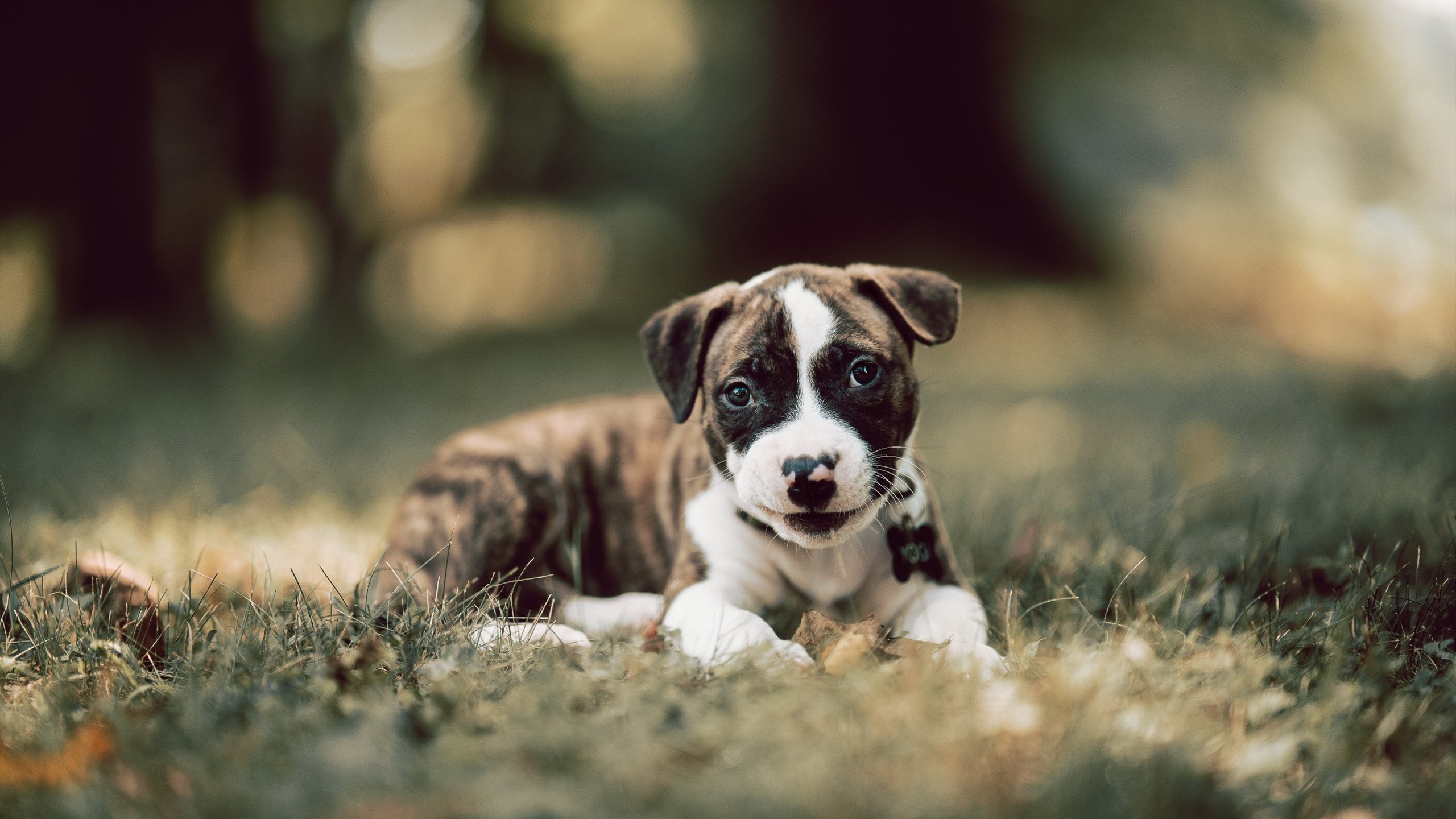 开云平台-阿圭罗无解爆发难挽败局，加拿大险胜塞维利亚惊现足球盛宴