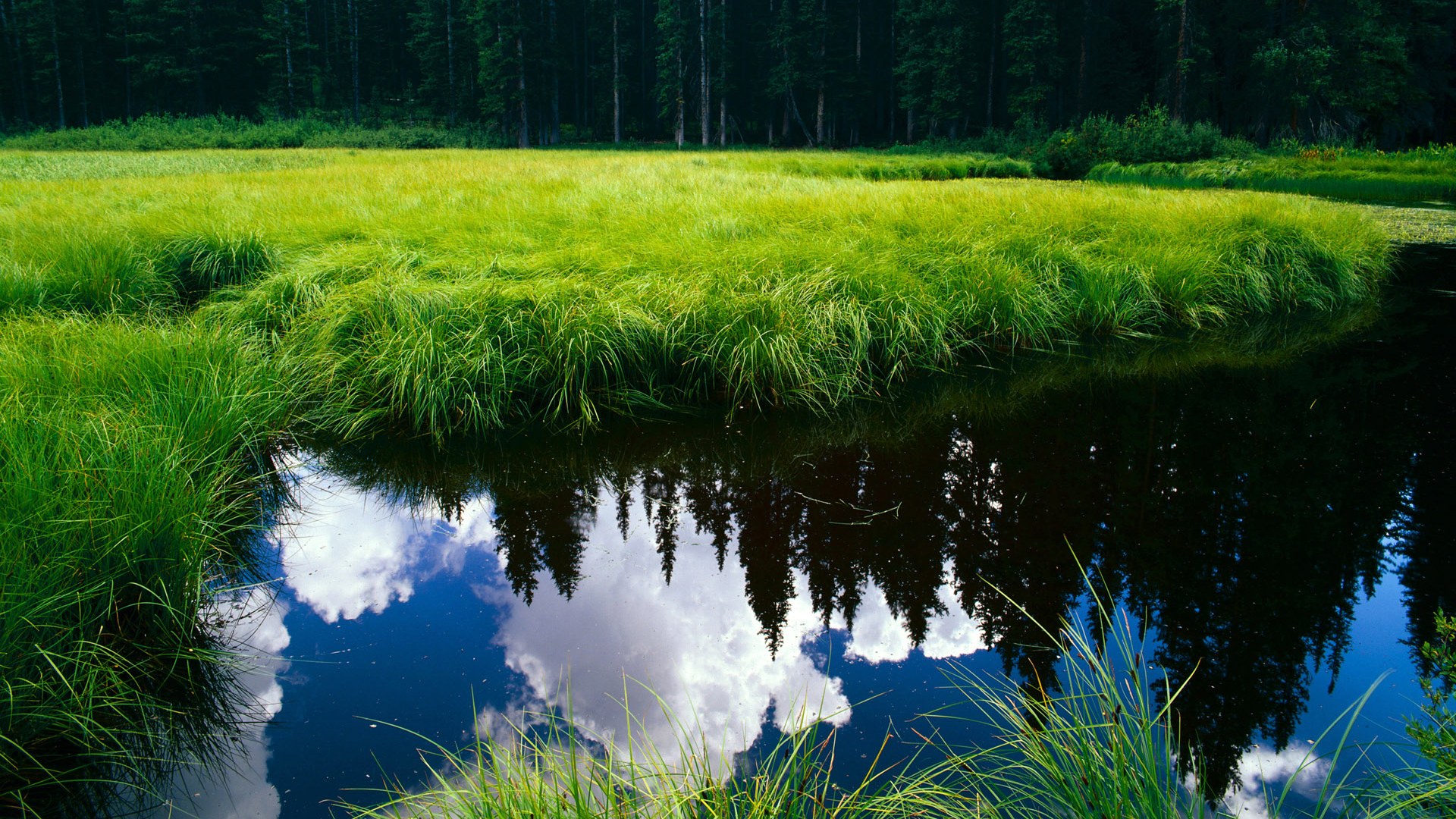 开云体育app-福克斯爆发狂砍38分，尼克斯压哨绝杀上海队惊险取胜