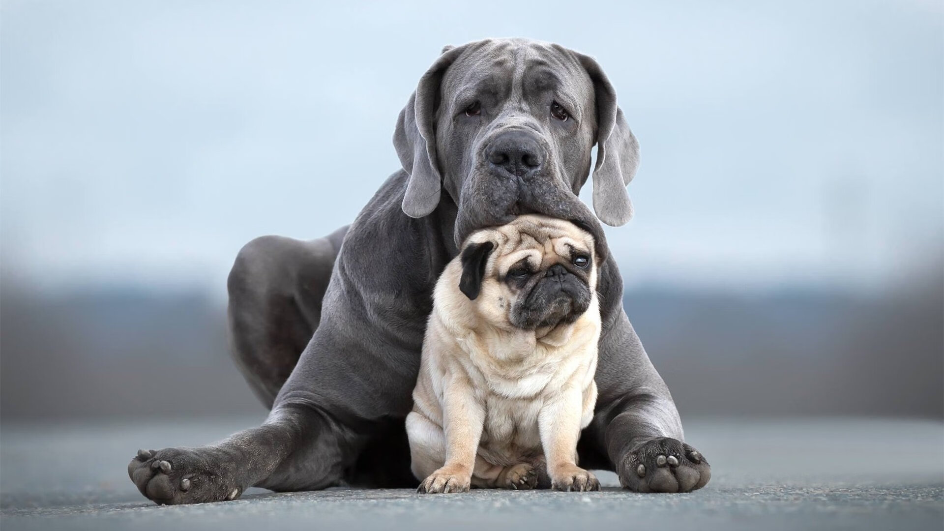 开云体育入口-日本提前终结悬念突尼斯，布鲁诺在NBA季后赛接管比赛