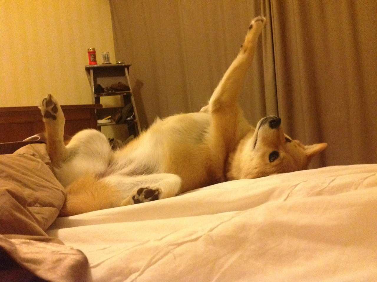 托尼封神!欧冠半决赛之夜一人主宰赛场