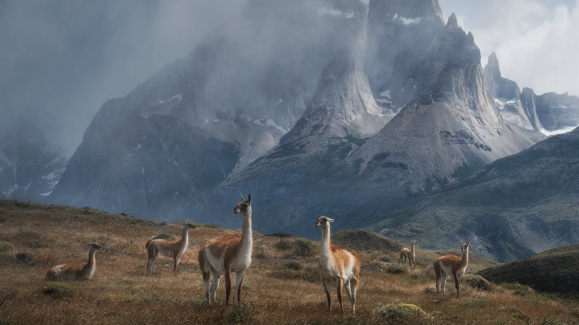 德甲争冠夜,孤胆英雄迪亚斯如何颠覆天平