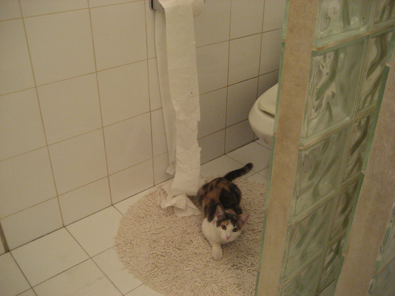 中场铁幕,赖斯数据爆炸与马赛式防守如何绞杀乌拉圭