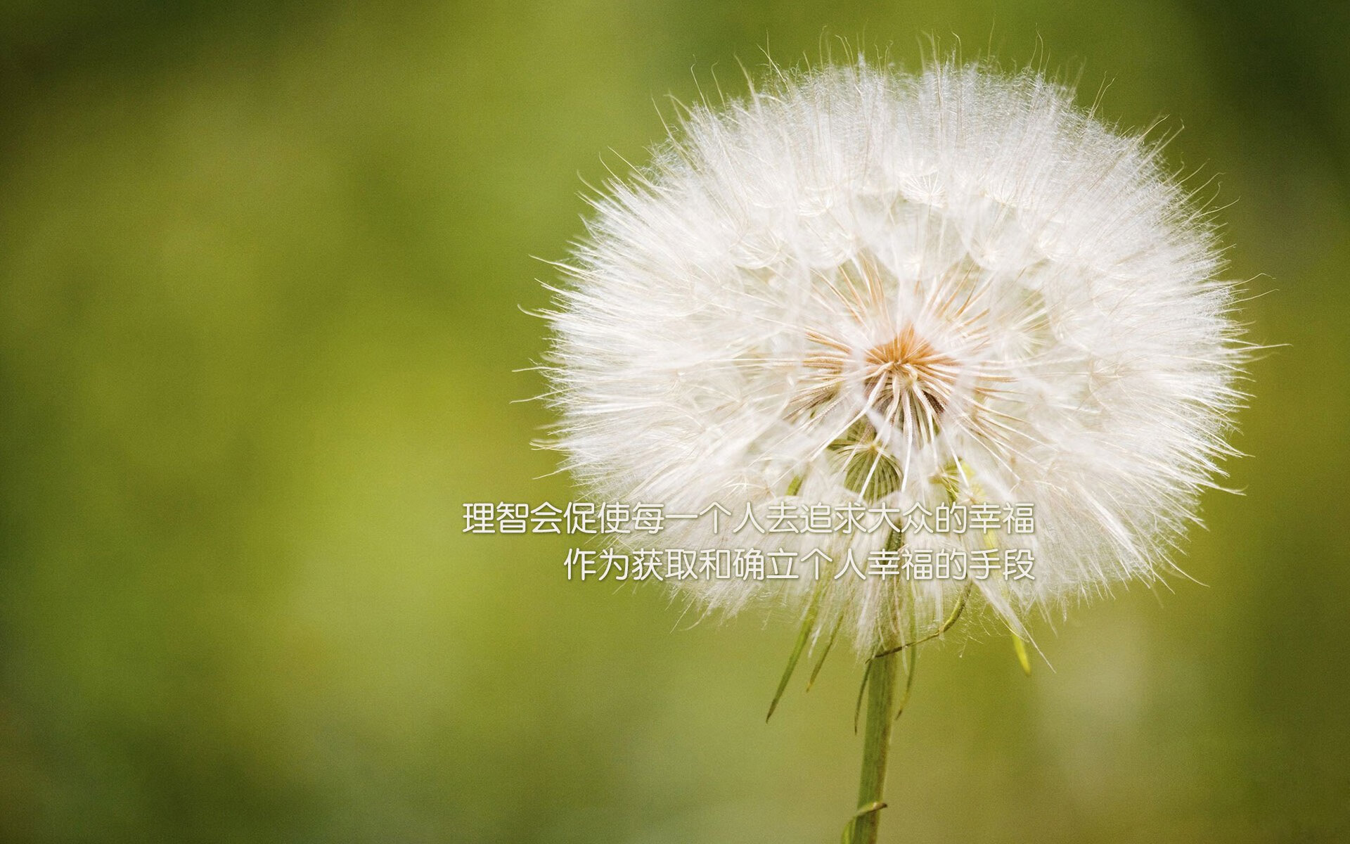 美国队强势晋级里昂，年轻王牌帕尔默成关键先生