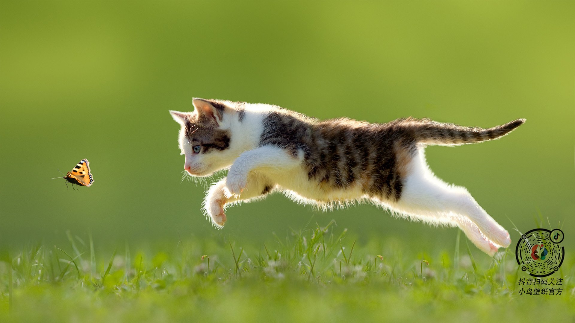 开云体育平台APP-西亚卡姆临危受命，热火末节逆转灰熊上演年度焦点之战