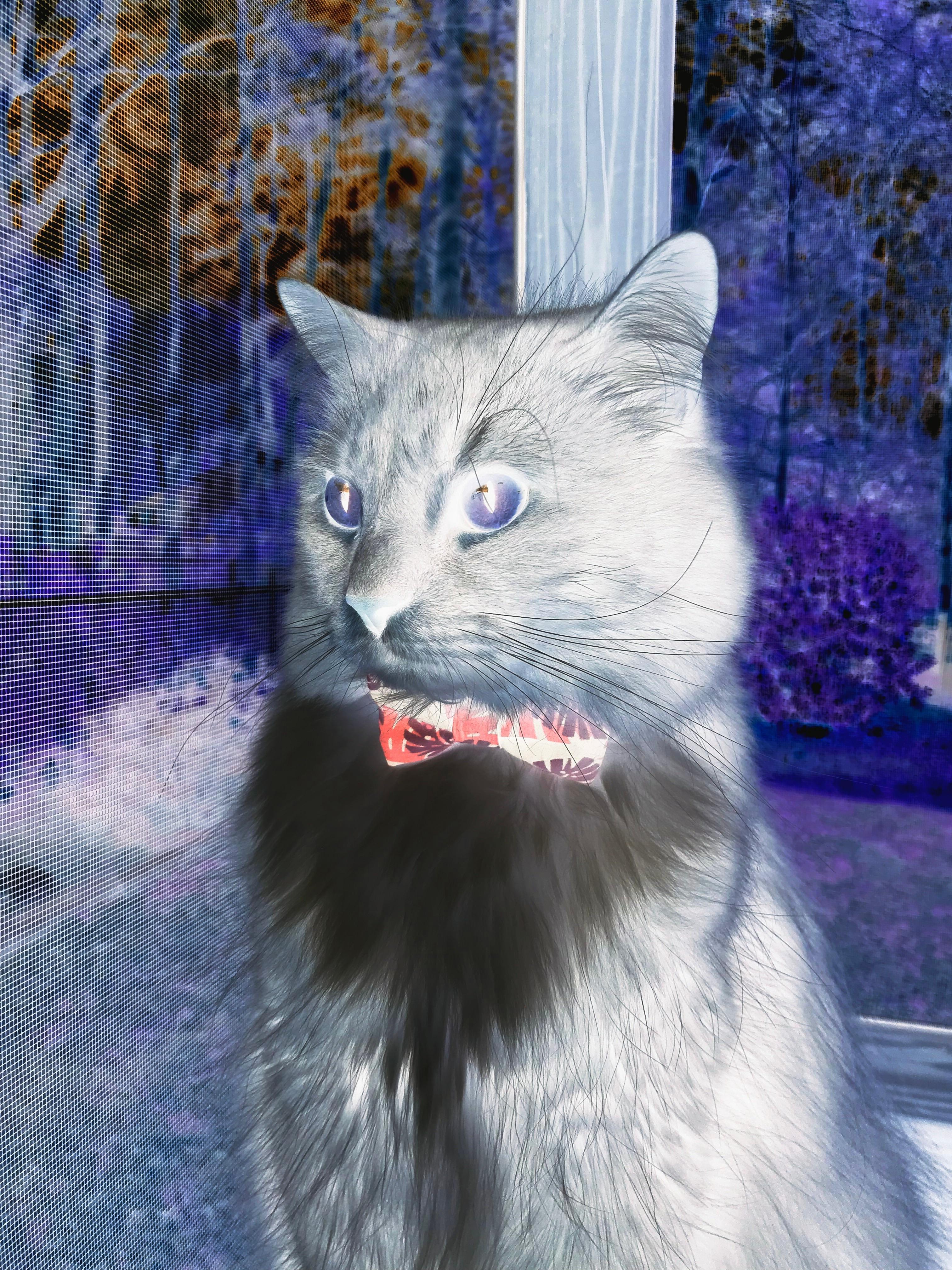 开云体育官网-太阳对阵北京队，伦纳德展现巨星价值