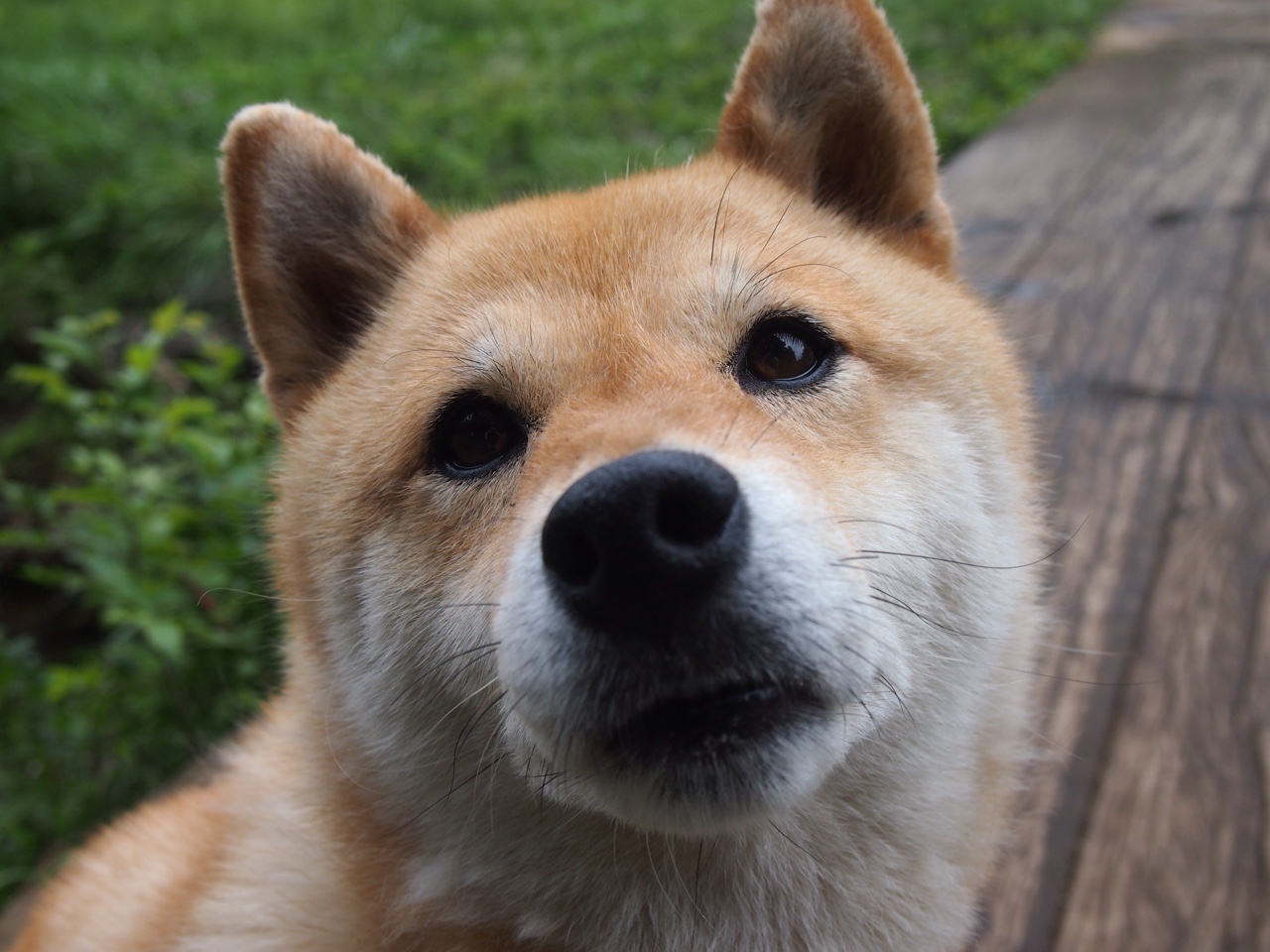 年度焦点之战,苏亚雷斯生涯之夜,神迹与涅槃的交响